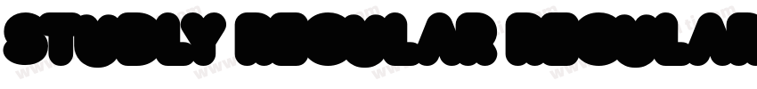 Studly Regular Regular字体转换
